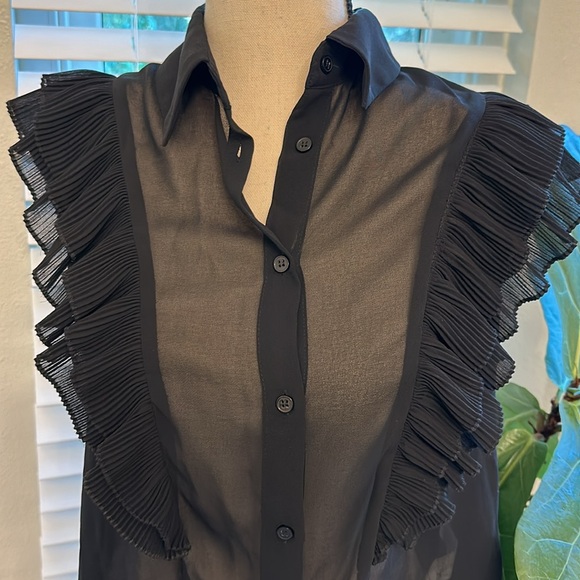 Zara Sheer Ruffle Top - Picture 2 of 5